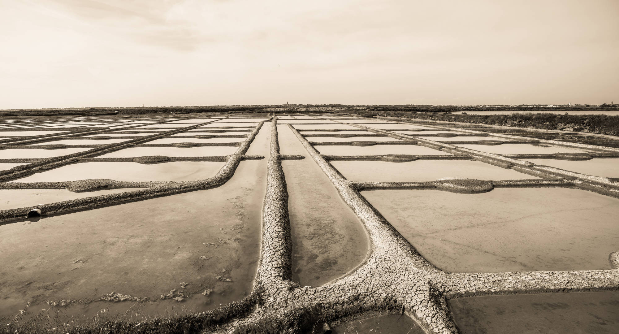 Marais salants image ancienne