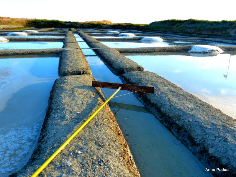 Le las pour les recoltes